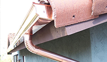 wildlife-proofing-gutters-bird-squirrel-rodent-guards Experts in Grape Creek